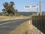 First Tara Loop sign.